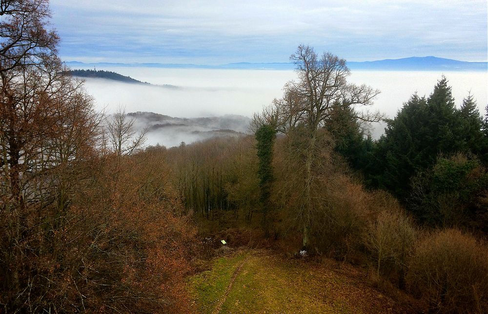 Blick vom Neunlindenturm