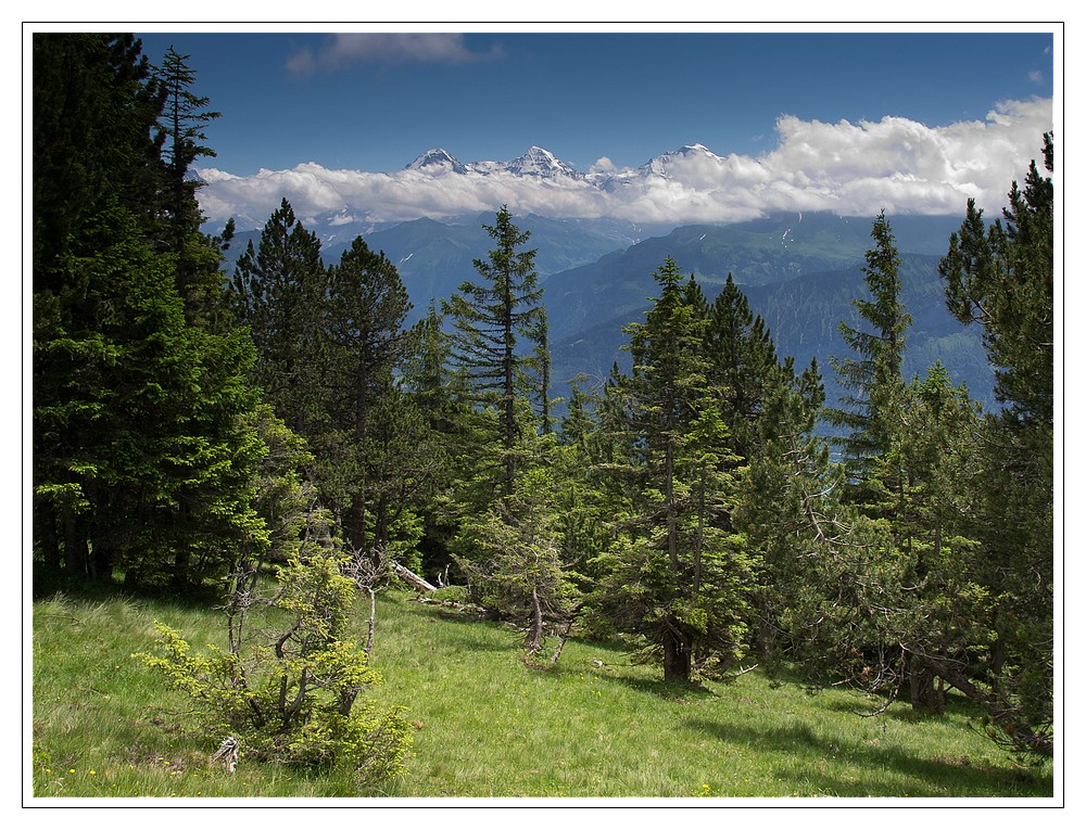 Blick vom Niederhorn