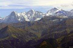 Blick vom Niesen auf den Eiger, Mönch und Jungfrau.