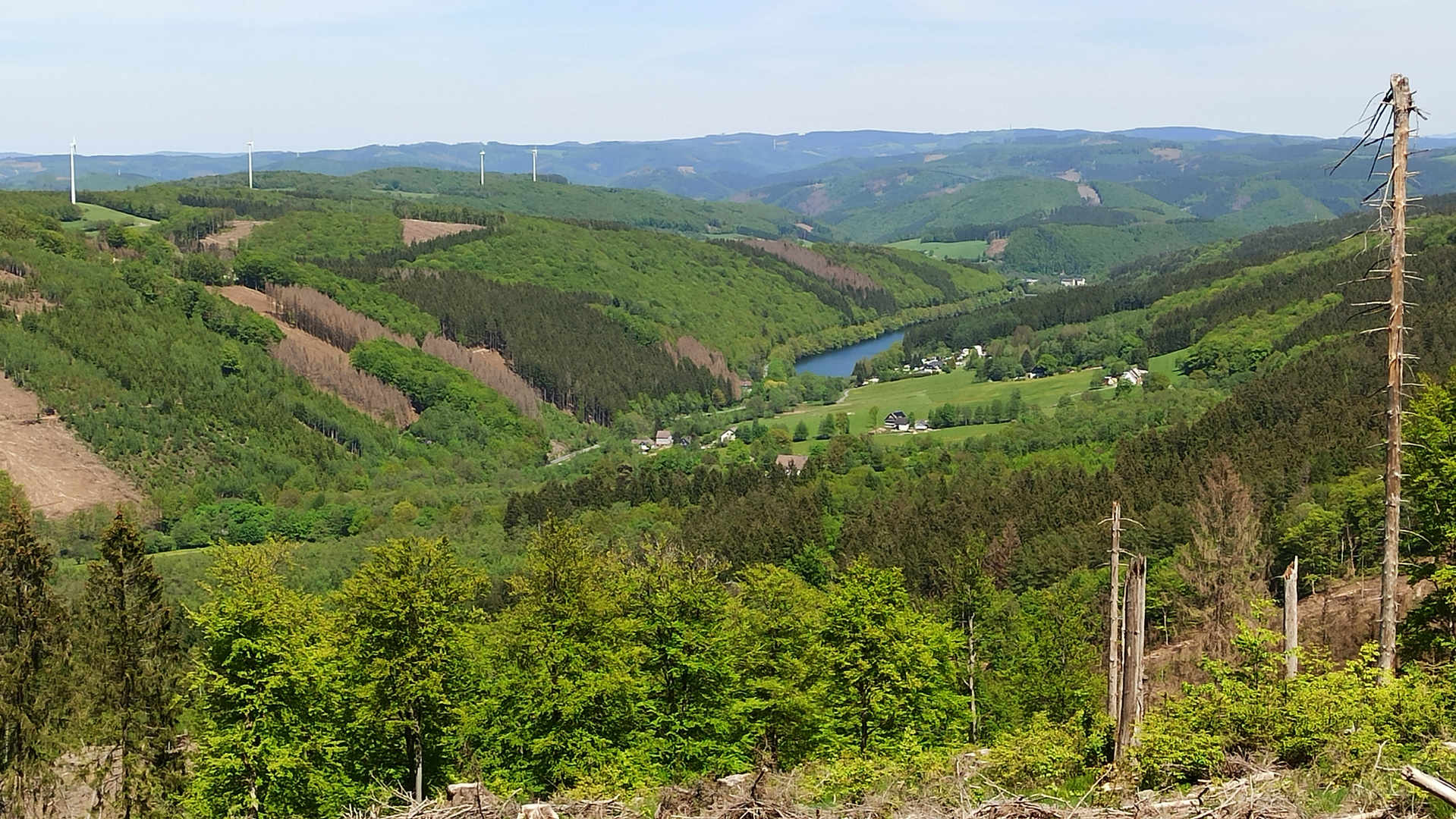 Blick vom Nordhang der Nordhelle zur Oestertalsperre (IMG_20210601_145317_ji)