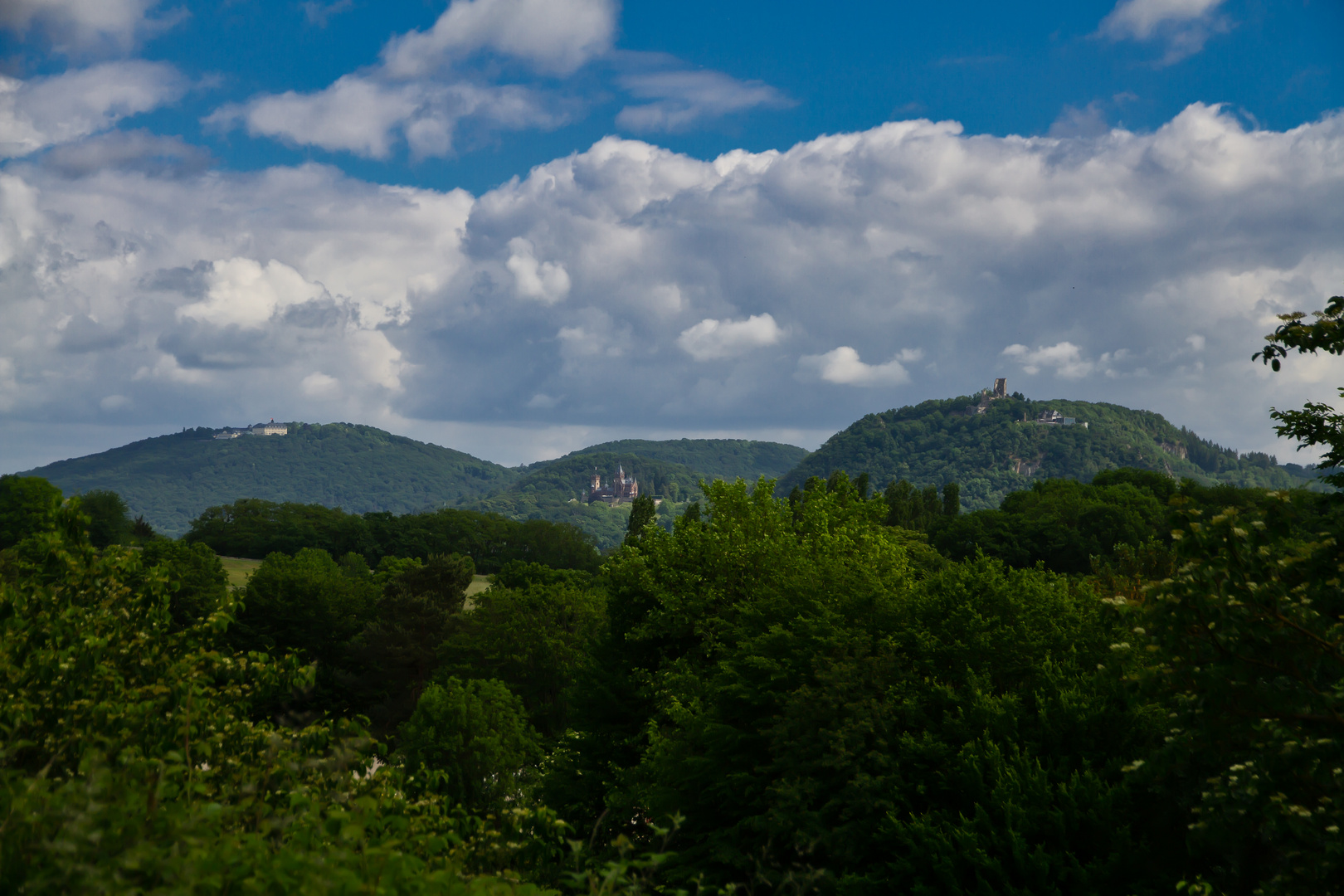 Blick vom NSG Rodderberg