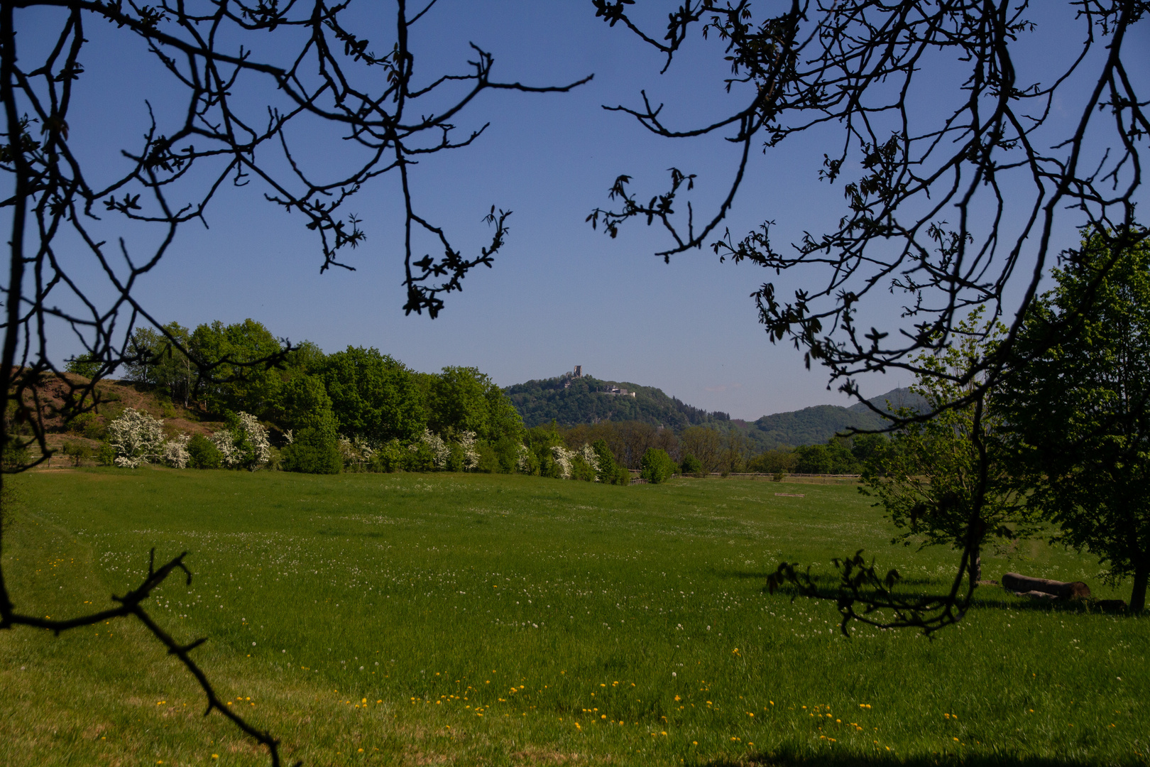 Blick vom NSG Rodderberg auf das Siebengebirge