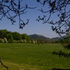 Blick vom NSG Rodderberg auf das Siebengebirge