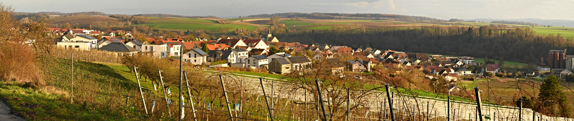 Blick vom oberen Wengertsweg