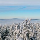 Blick vom Oberpfalzturm.....