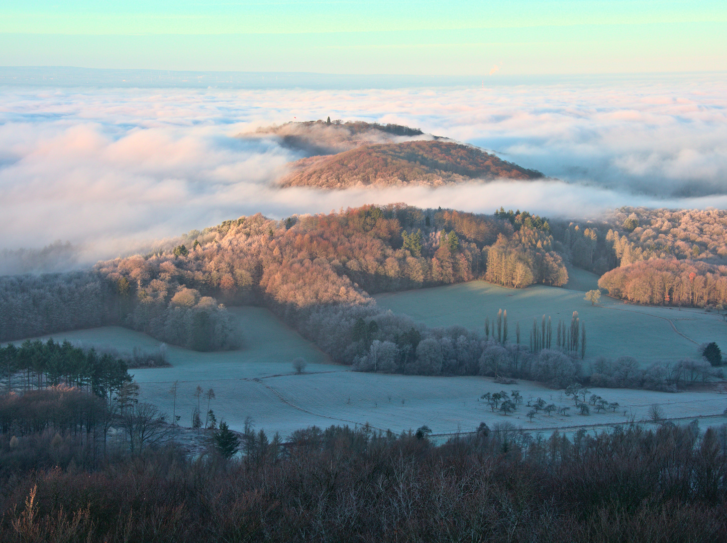 Blick vom Oelberg zum Petersberg