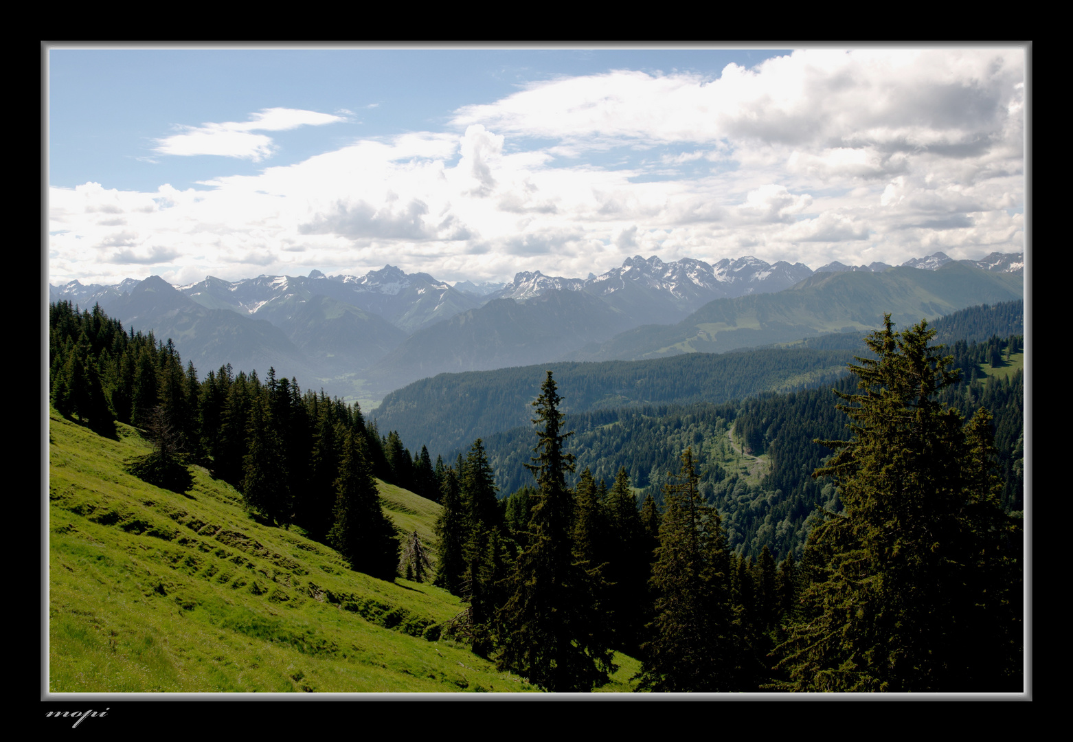 Blick vom Ofterschwanger Horn...