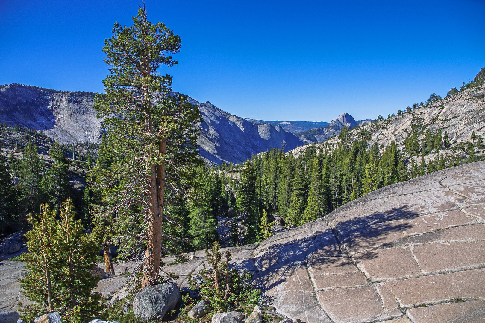 Blick vom Olmsted Point zum Half Dome