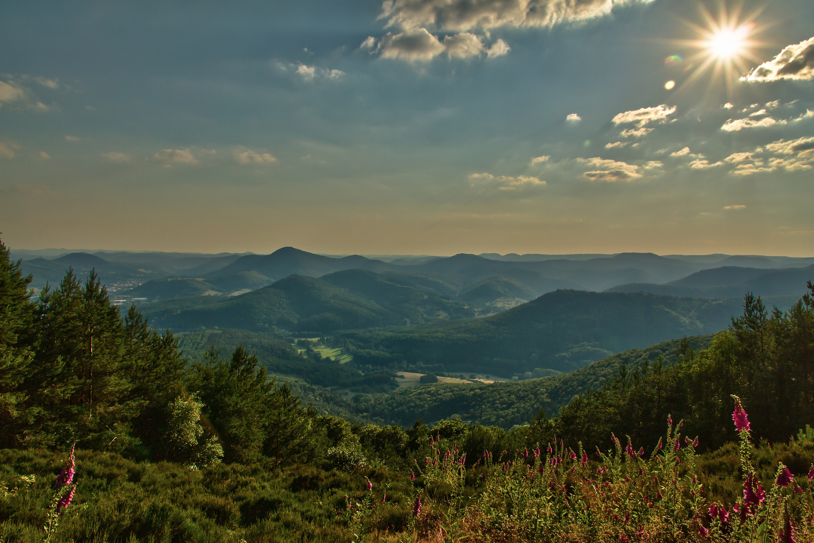 Blick vom Orensberg