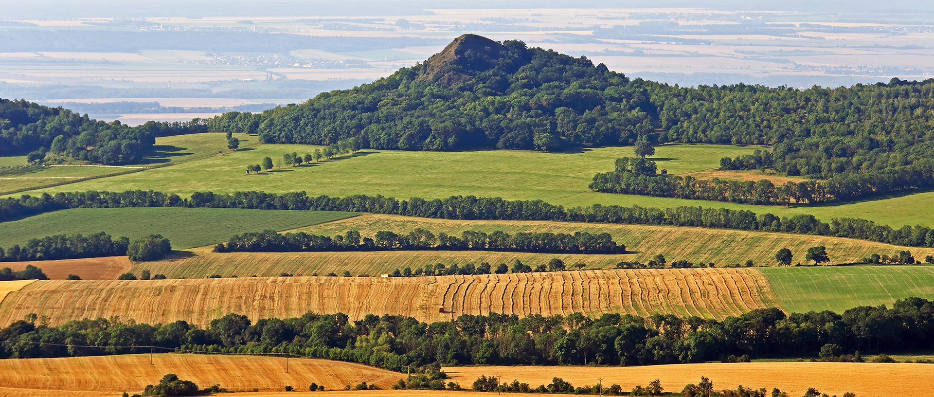 Blick vom Ostry zum Plecivec mit seiner Nordseite und...