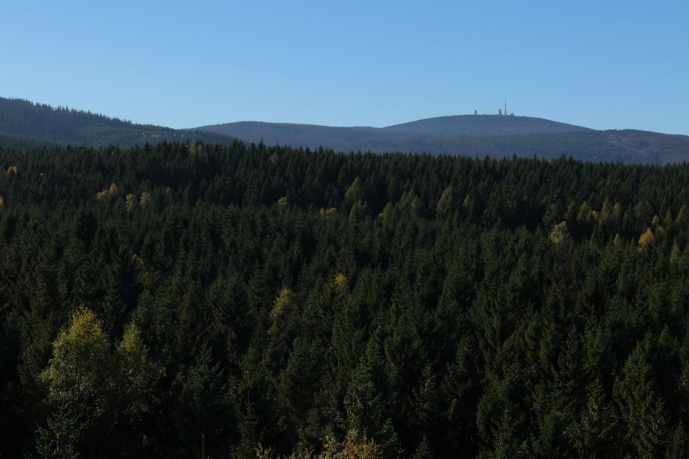 Blick vom Ottofelsen zum Brocken