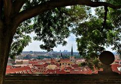 Blick vom Palastgarten