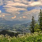 Blick vom Panoramaweg