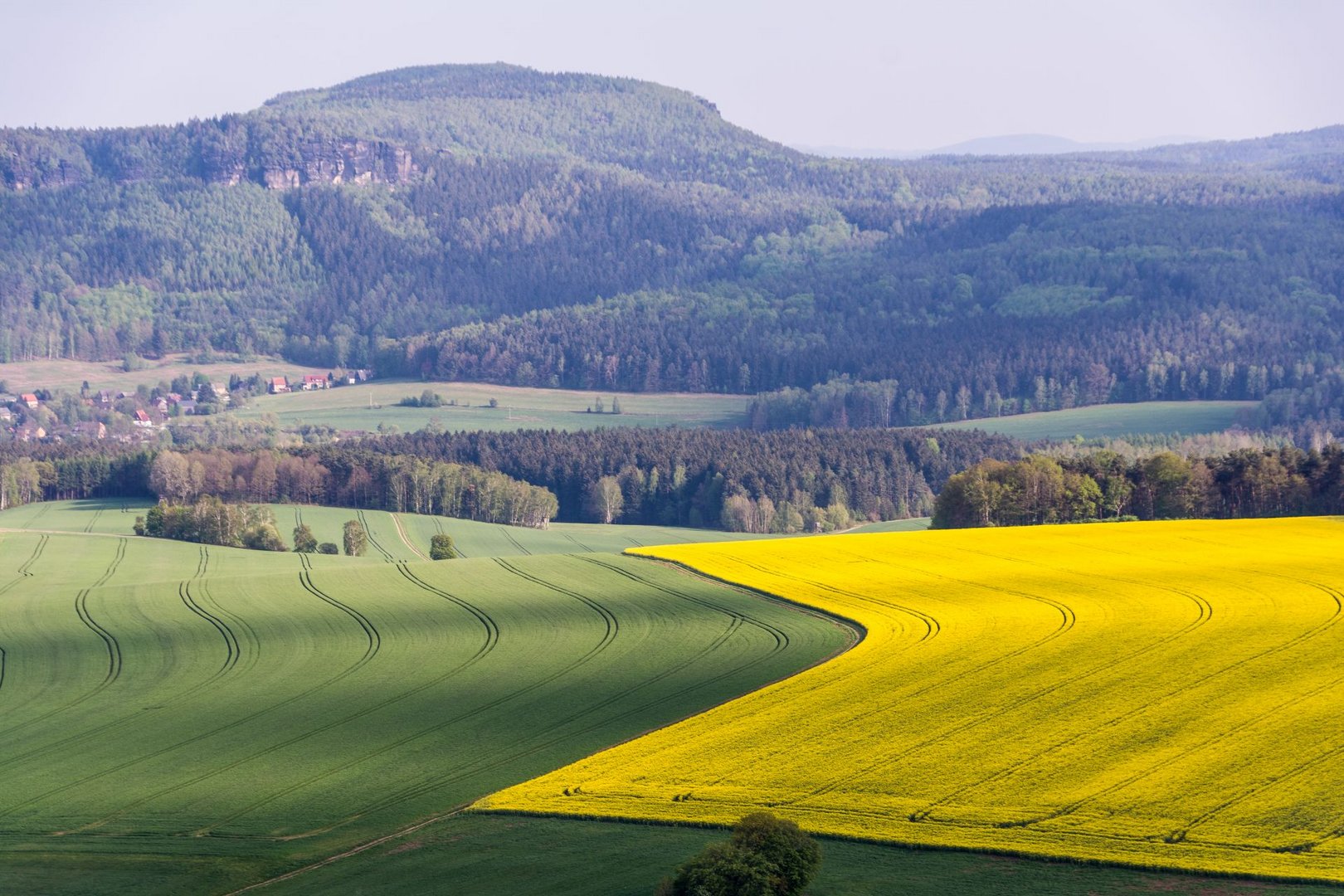 Blick vom Papstein