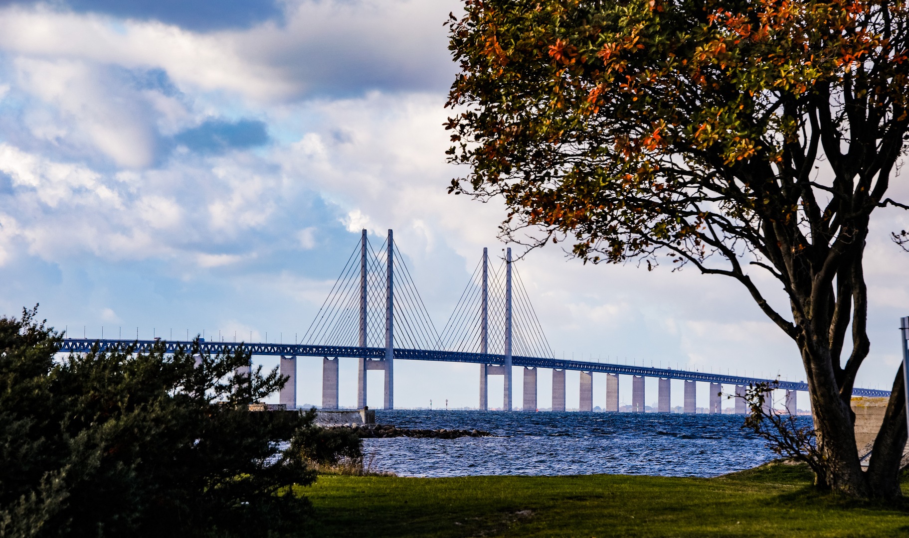 Blick vom Park zur Öhresundbrücke