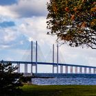 Blick vom Park zur Öhresundbrücke