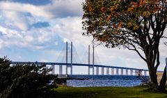 Blick vom Park zur Öhresundbrücke