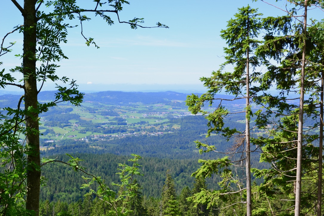 Blick vom Parkplatz…