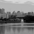 Blick vom Parque Ibirapuera , São Paulo, auf diesen Moloch einer Stadt