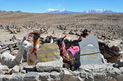 Blick vom Patapampa-Pass (4900m) zum Sabancaya (5976m)