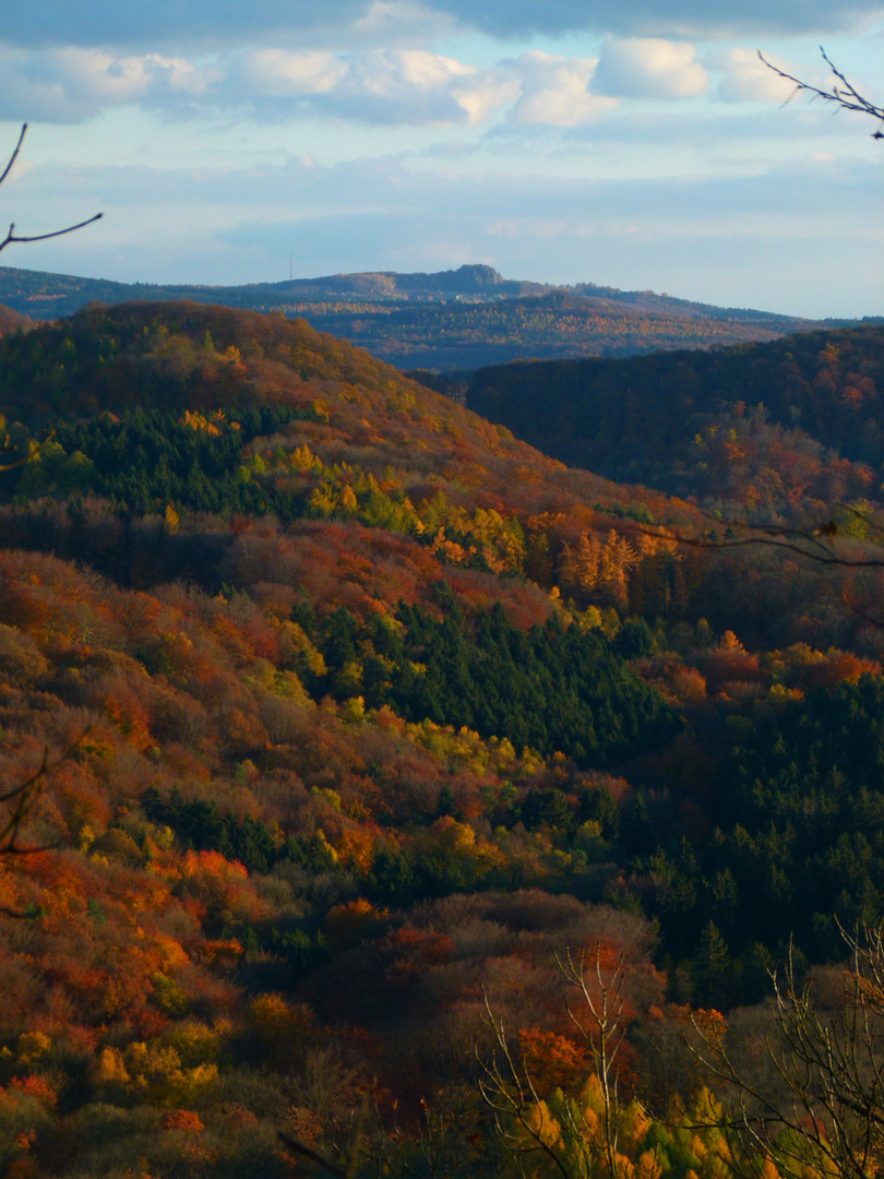 Blick vom Petersberg