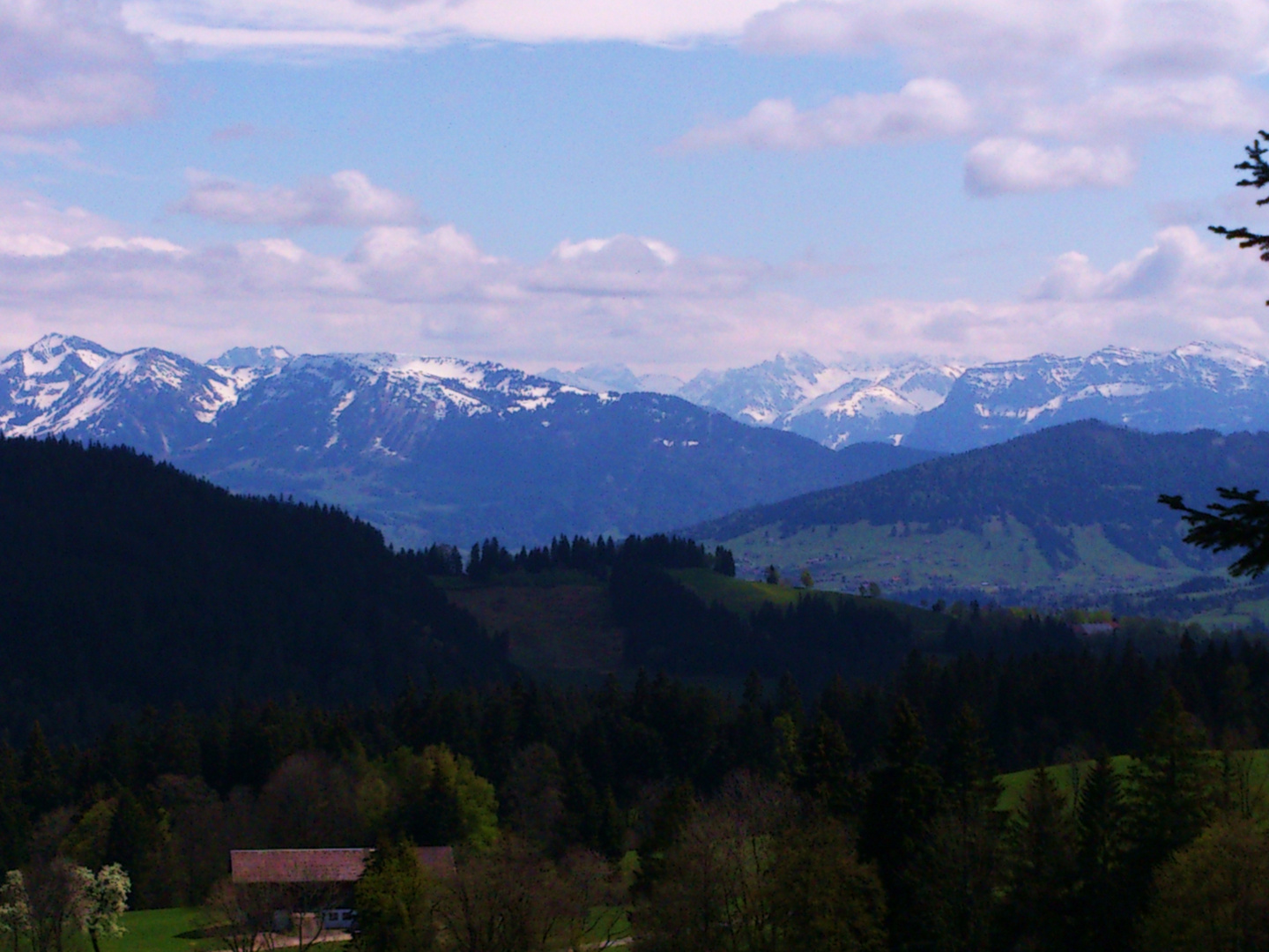 Blick vom Pfänder