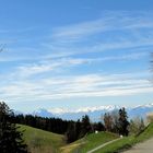 Blick vom Pfänder auf die Alpen