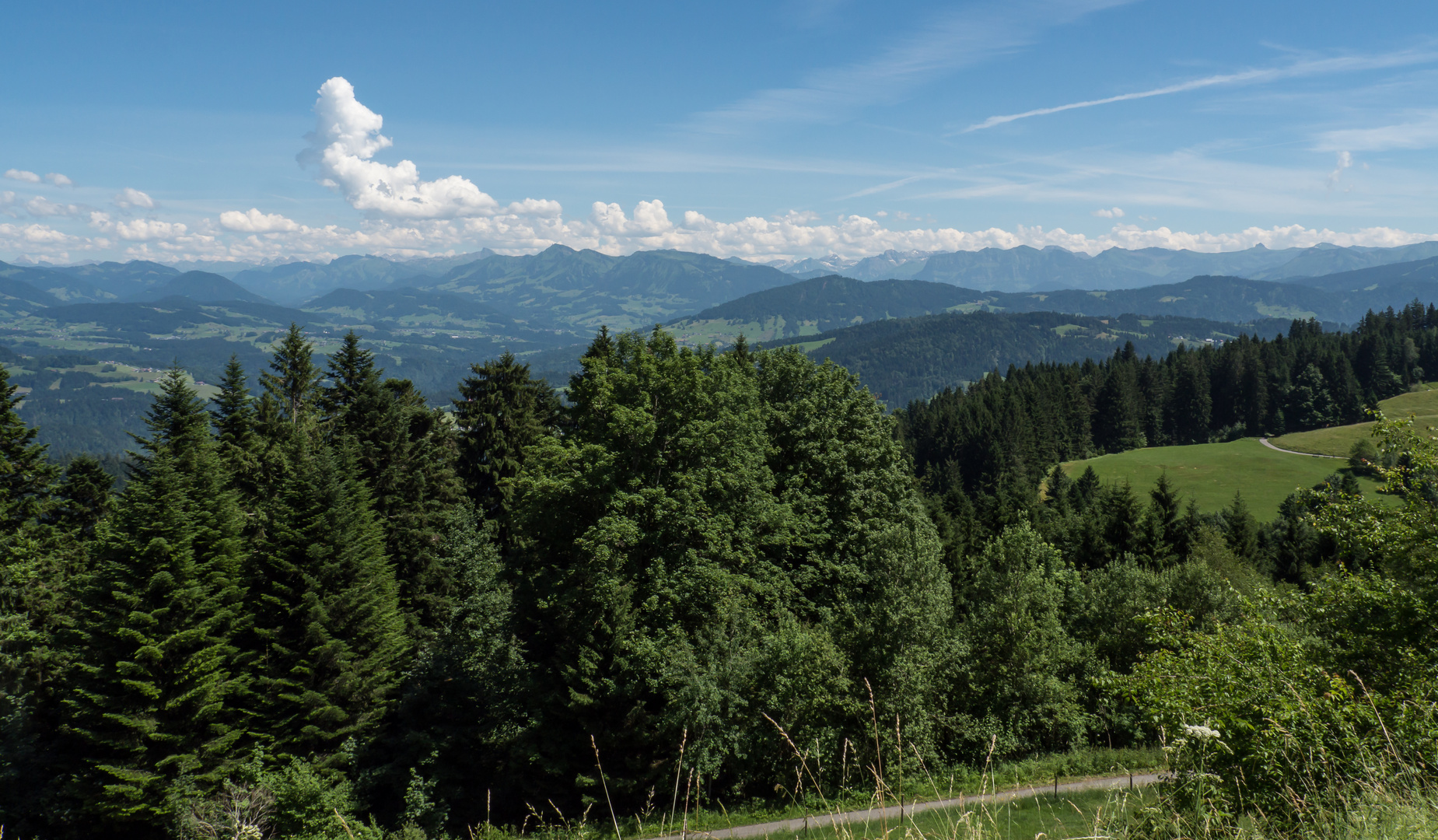 Blick vom Pfänder auf die Alpen