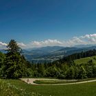 Blick vom Pfänder / Bregens