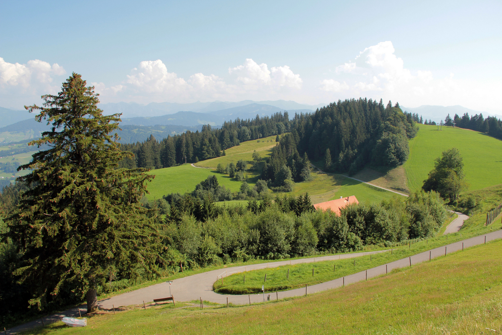 Blick vom Pfänder