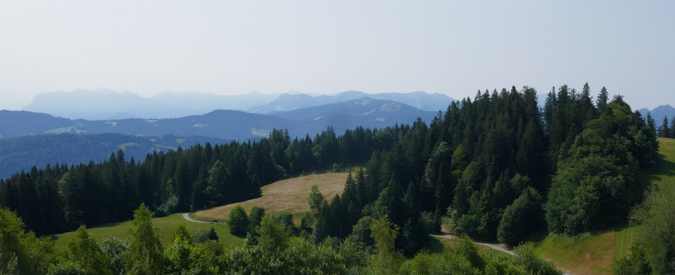 Blick vom Pfänder nach SO