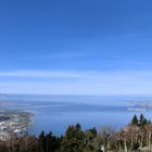 Blick vom Pfänder über den Bodensee