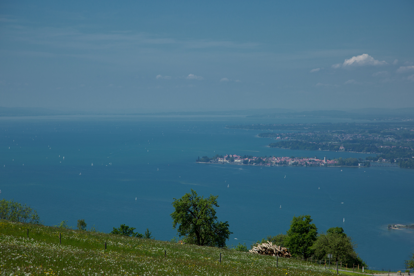 Blick vom Pfänderhang auf Lindau