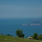 Blick vom Pfänderhang auf Lindau