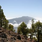 Blick vom Pico Bejenado zur Cumbre Vieja.