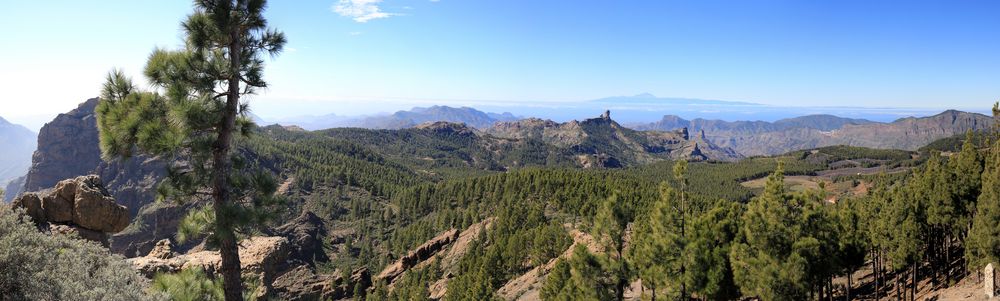 Blick vom Pico de las Nieves hinüber zum Teide (Panorama)