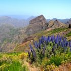 Blick vom Pico do Arieiro