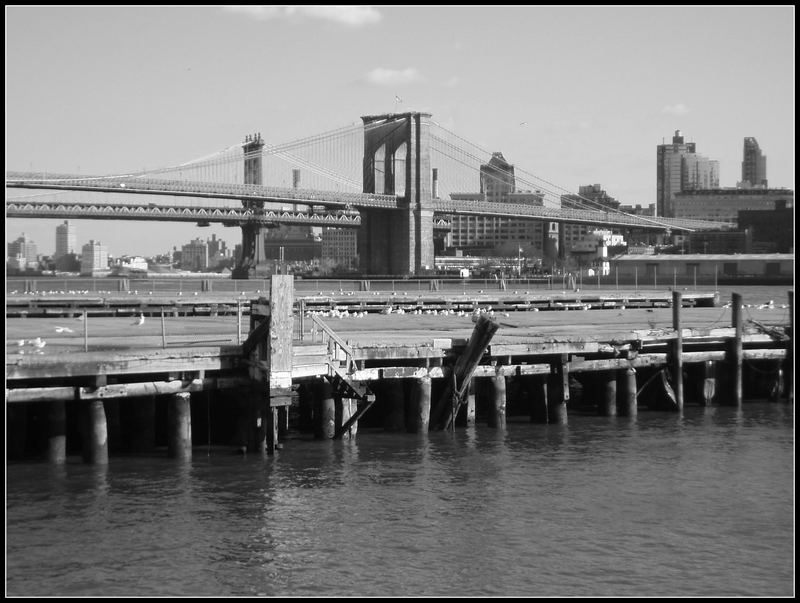 Blick vom Pier auf die Brooklyn Bridge