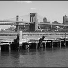 Blick vom Pier auf die Brooklyn Bridge