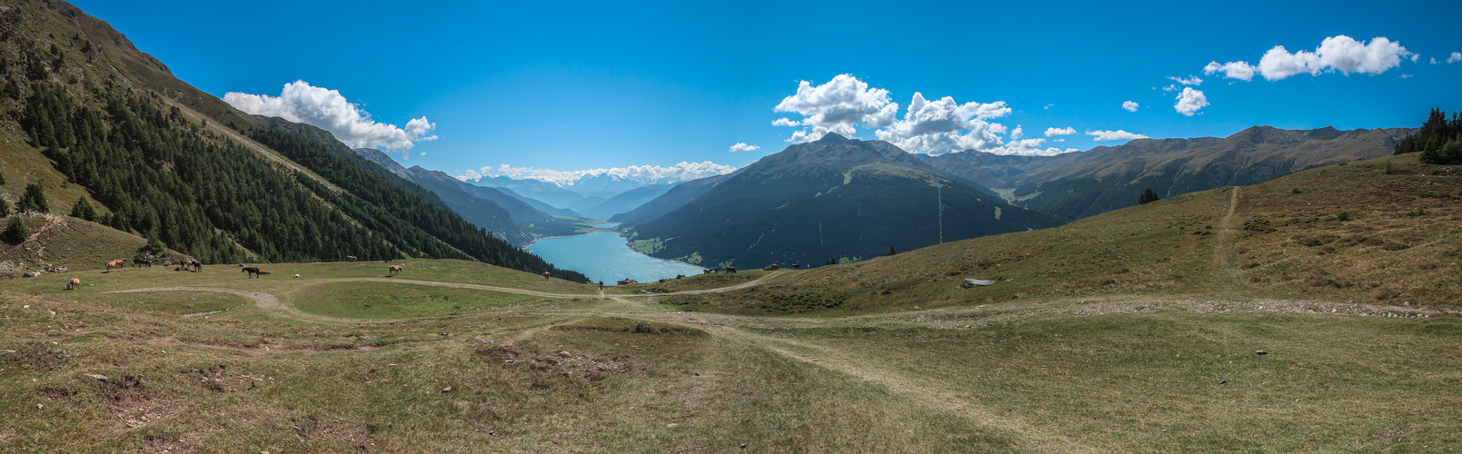 Blick vom Plamort auf den Reschensee