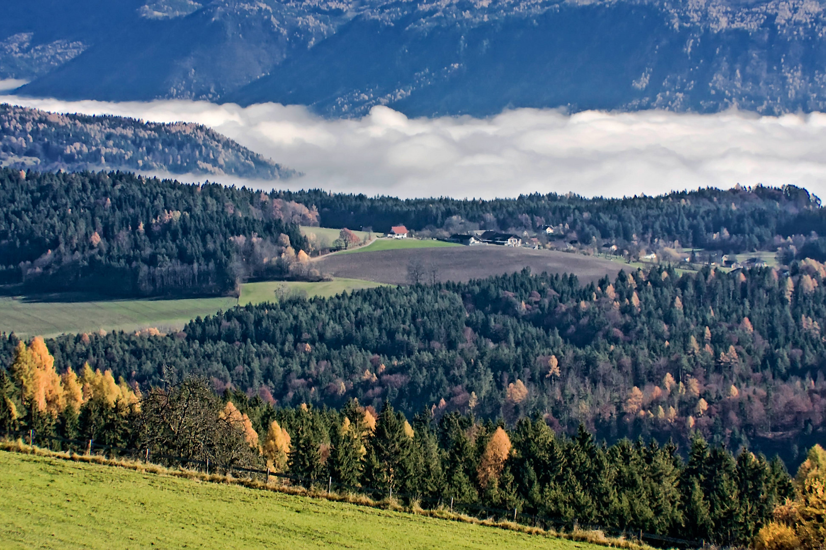 Blick vom Plöschenberg II