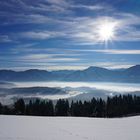 Blick vom Plöschenberg ins Rosental und auf Karawanken