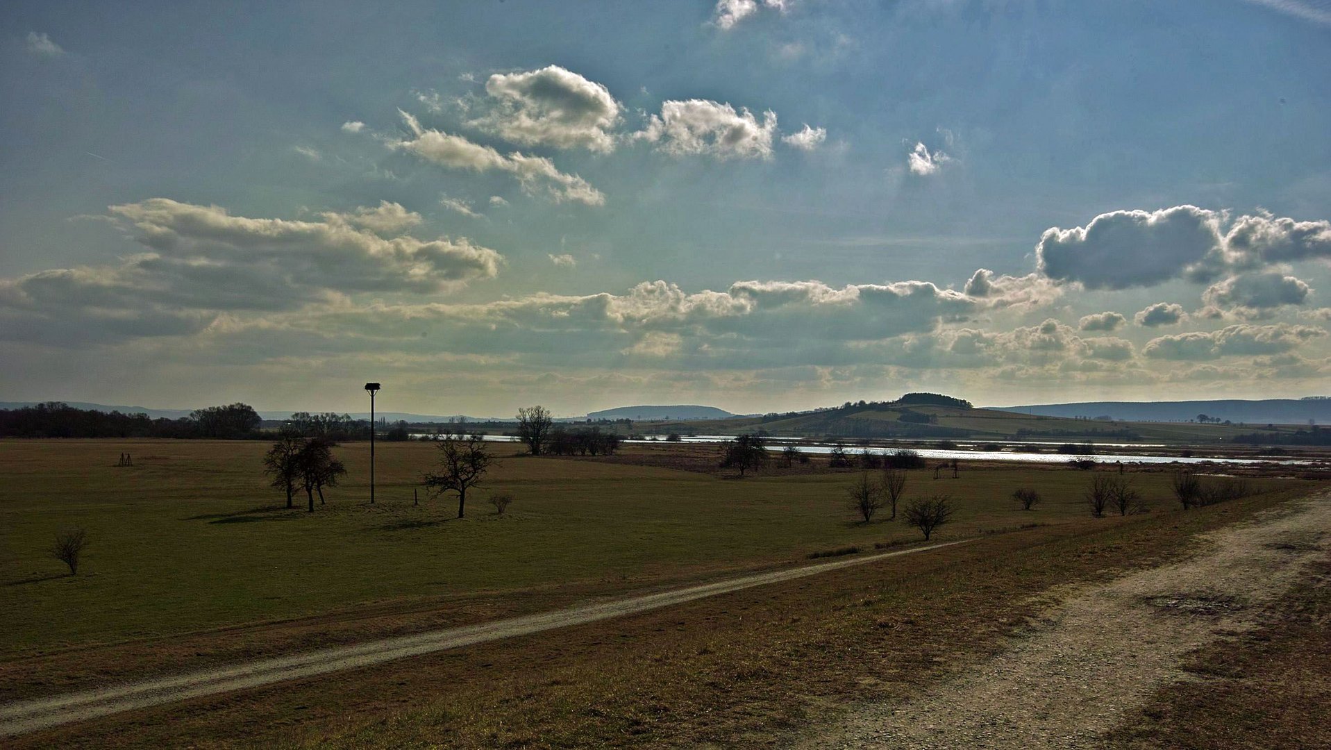 Blick vom Polderdeich auf das Storchennest und auf die Feuchtgebiete im Rückhaltebecken