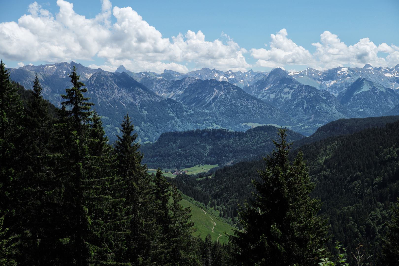 Blick vom Polsterlanger Horn