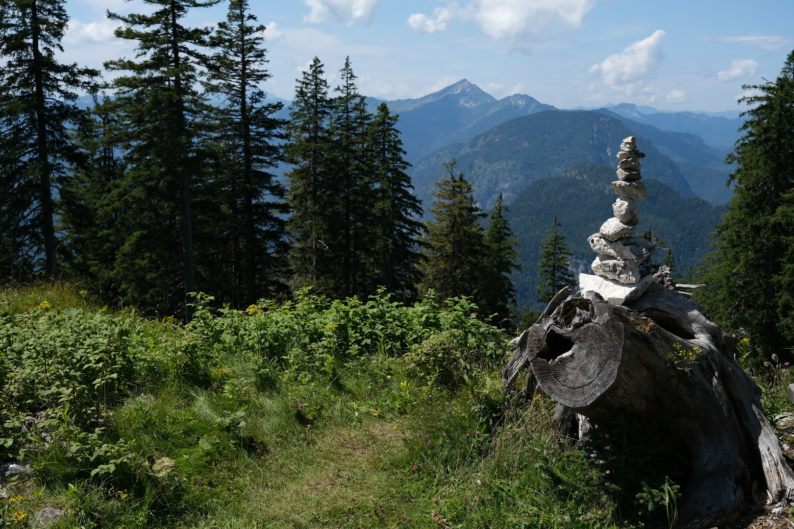 Blick vom "Predigtstuhl" bei Bad Reichenhall auf die Alpen