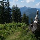 Blick vom "Predigtstuhl" bei Bad Reichenhall auf die Alpen