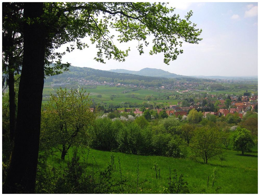 Blick vom Pretzfelder Keller