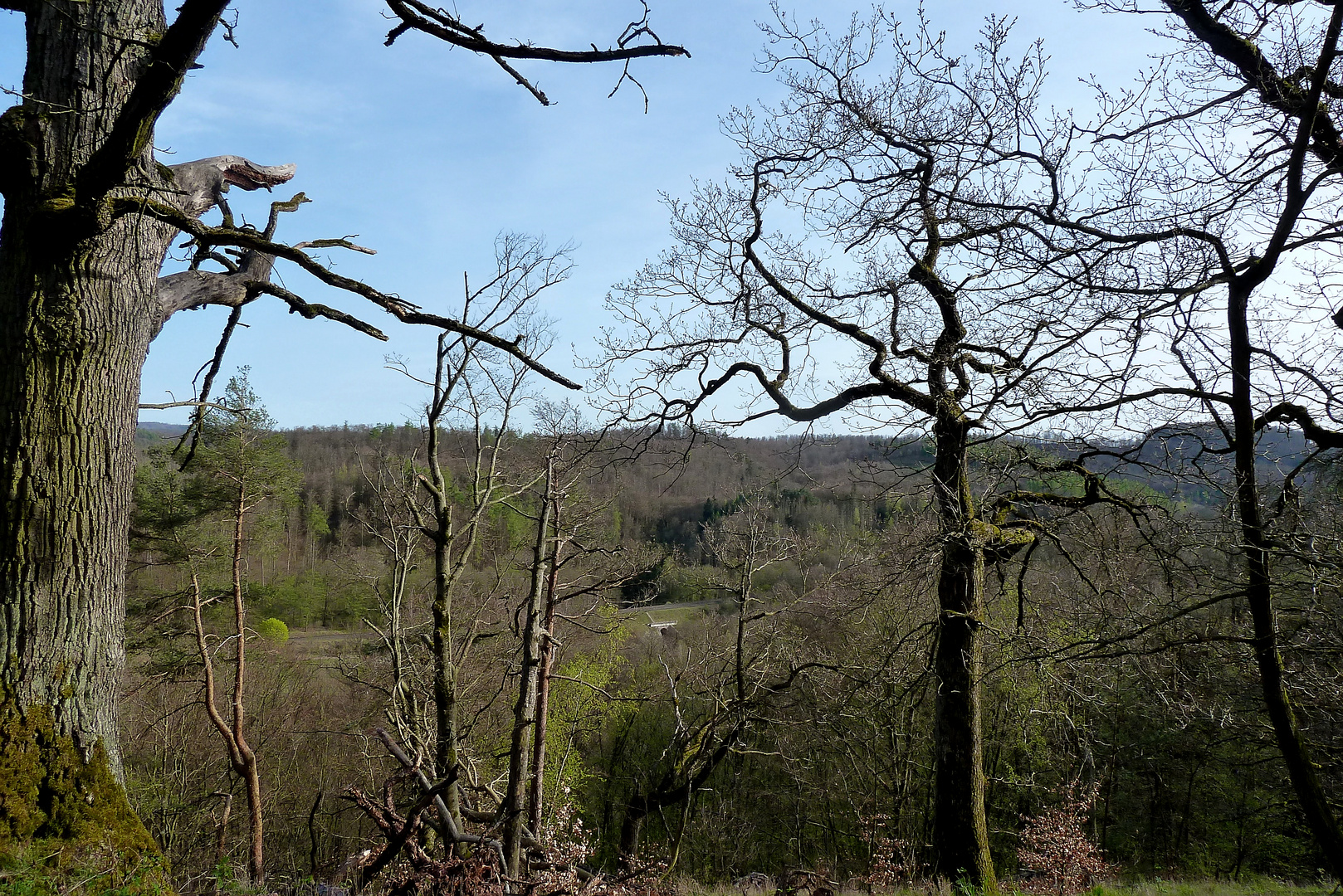 Blick vom Rabenstein