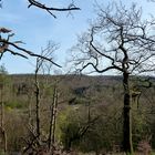 Blick vom Rabenstein