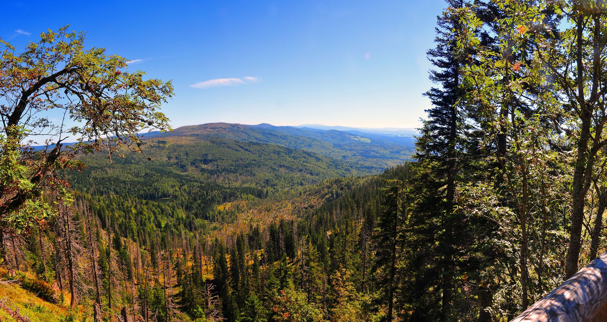 Blick vom Rachel in den wunderschönen Bayerischen Wald